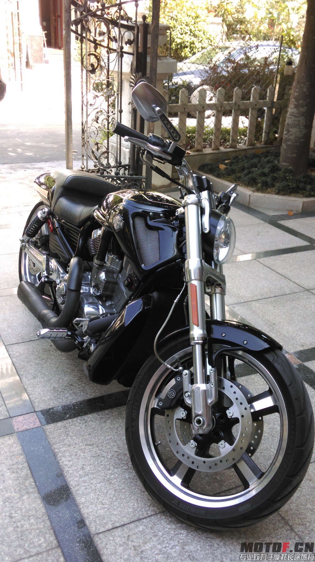 IMAG3818.jpg