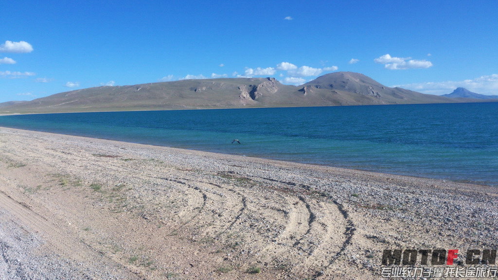 DSC_1822.jpg