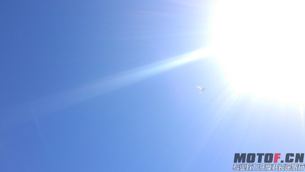DSC_1845.jpg