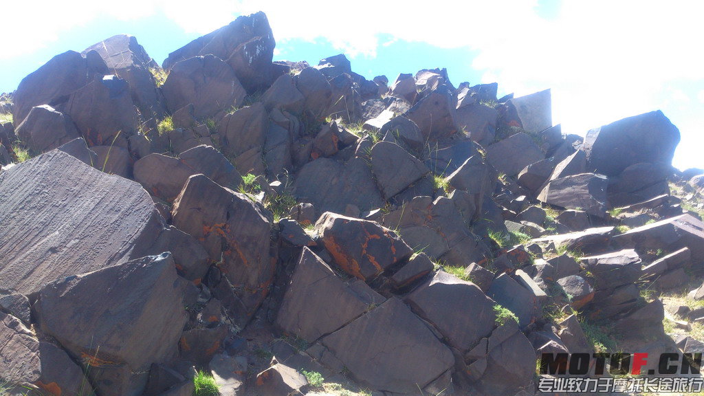 DSC_1945.jpg