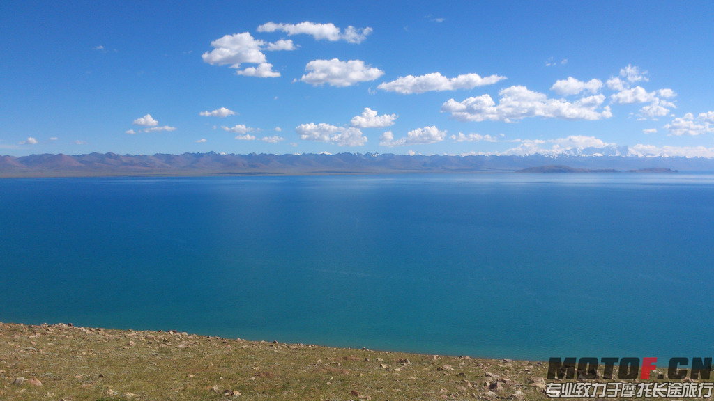 DSC_1964.jpg