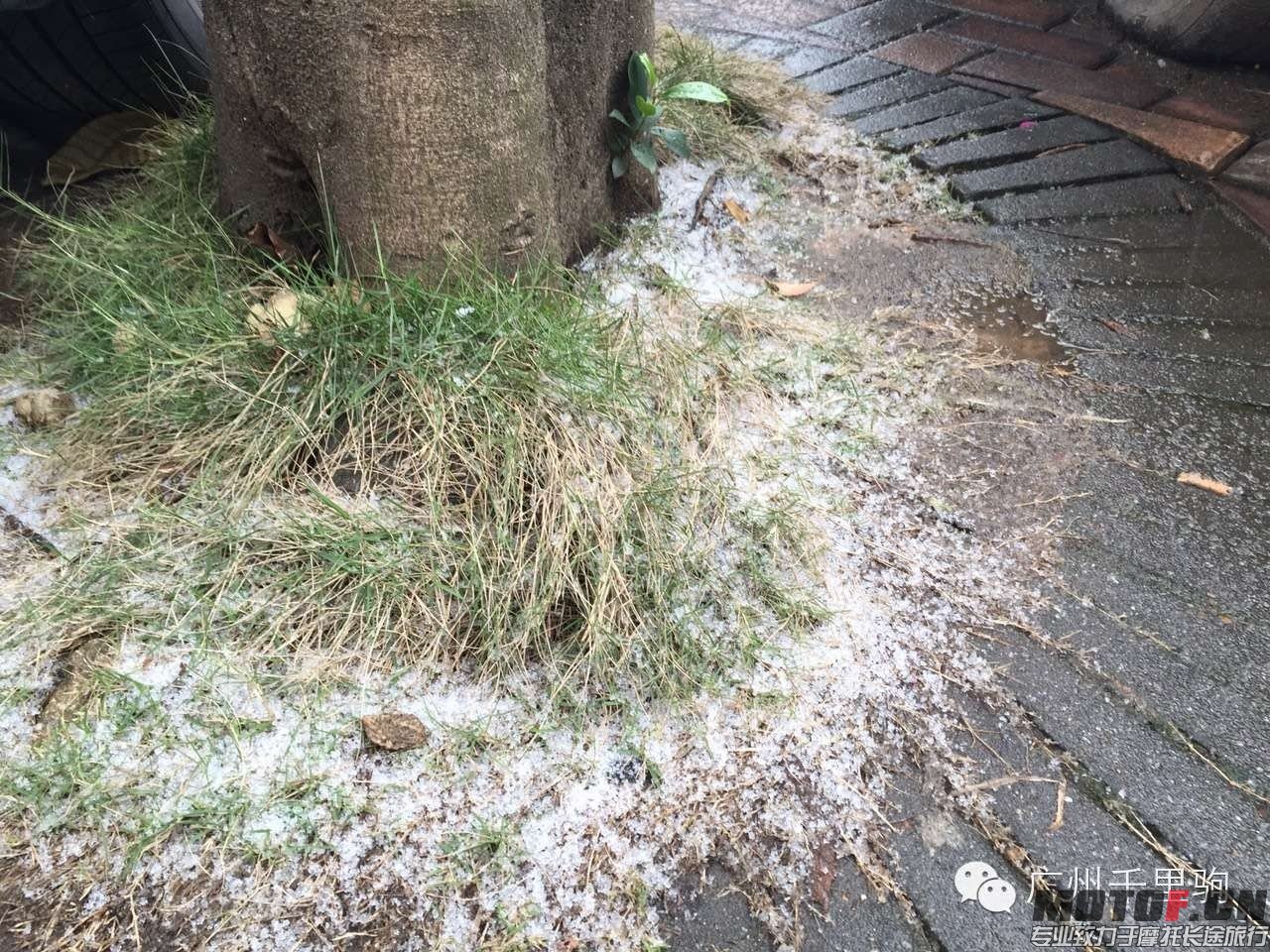 雨夹雪