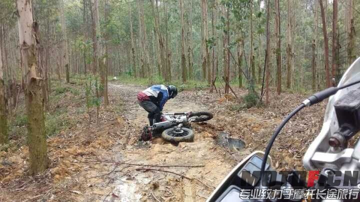 QQ图片20160227213357.jpg