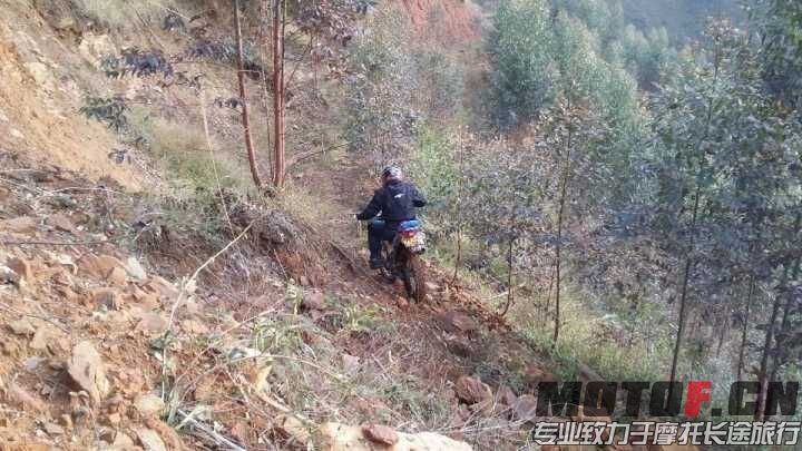 QQ图片20160227213744.jpg