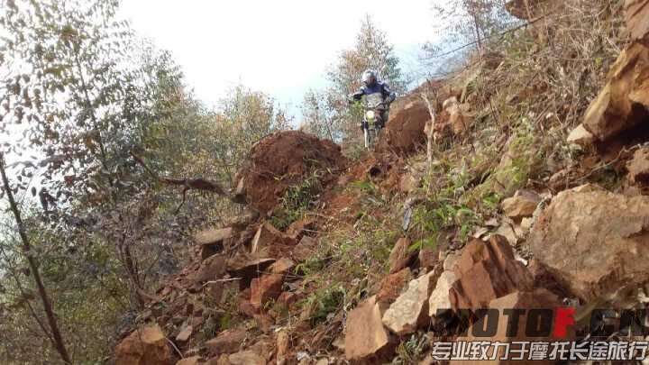 QQ图片20160227213922.jpg