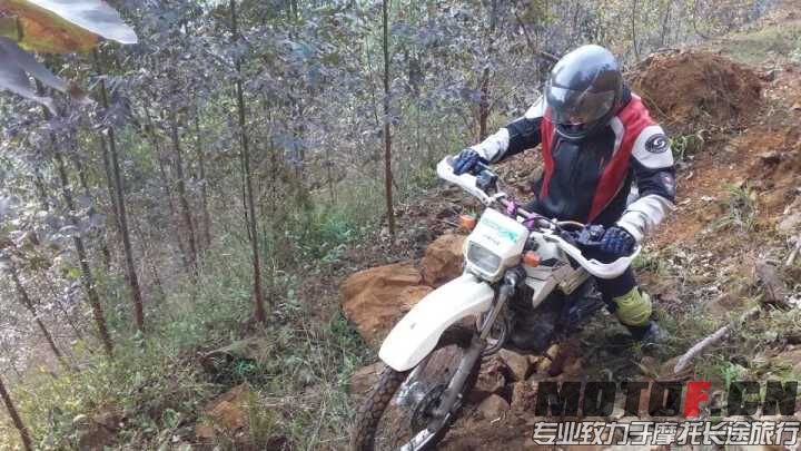 QQ图片20160227213928.jpg