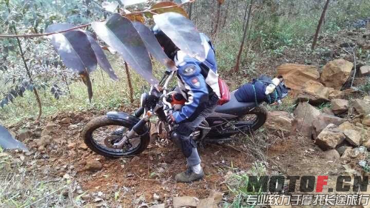 QQ图片20160227213948.jpg