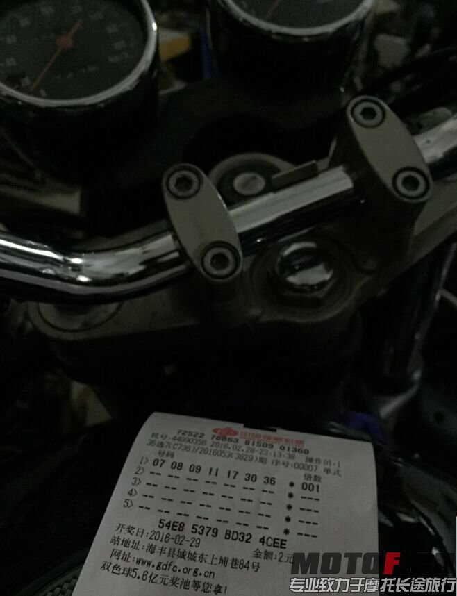 456.jpg