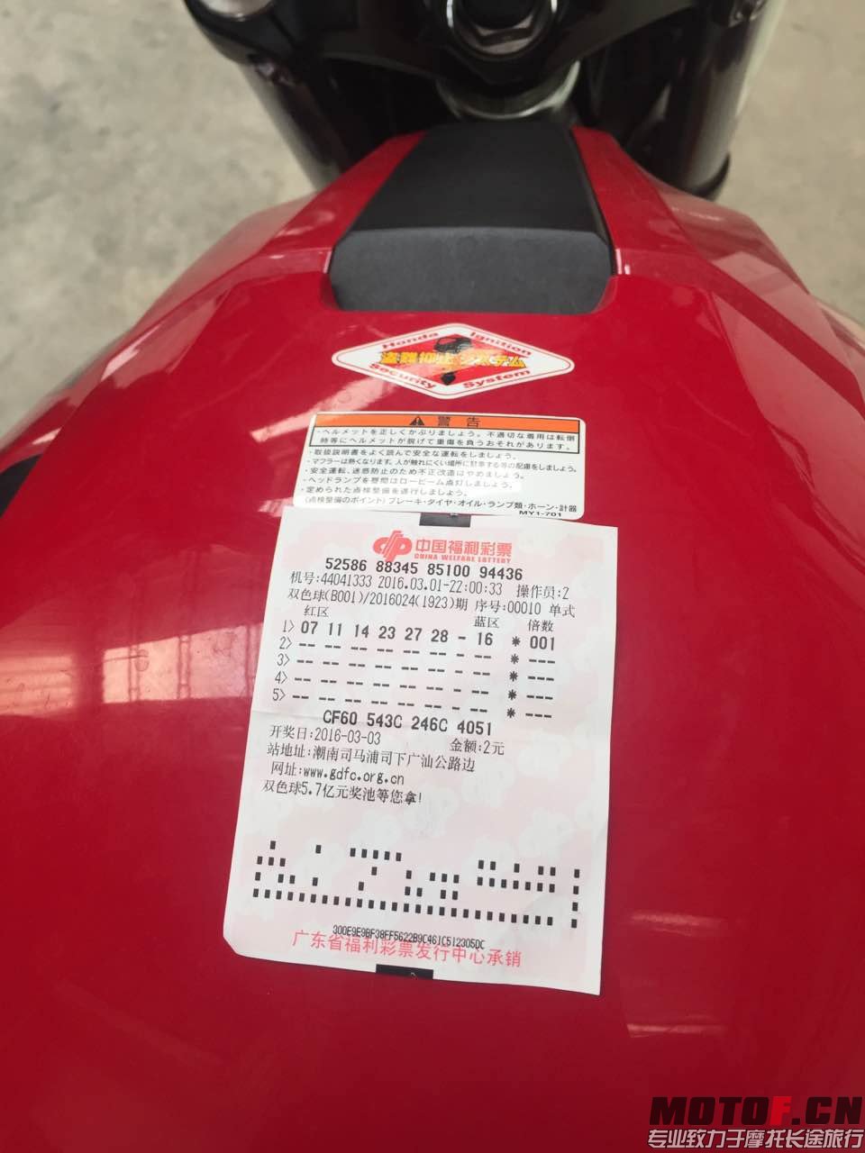 173433013392194819.jpg