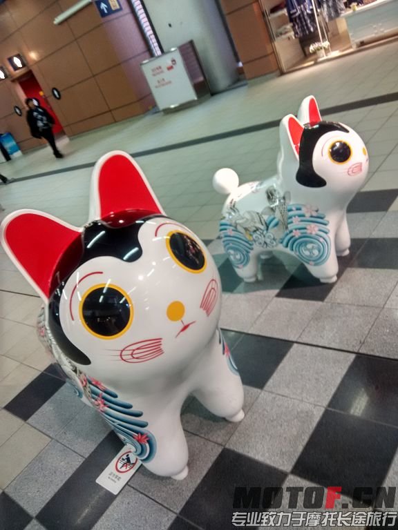 沙田第一城廣場可愛小貓