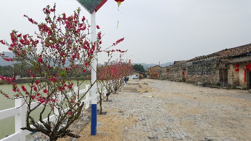 20160305_143517.jpg