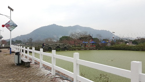 20160305_143536.jpg