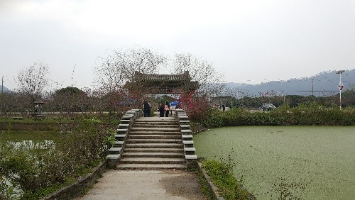 20160305_143734.jpg