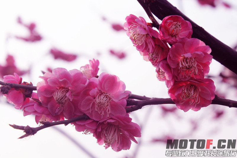 IMG_2880_副本.jpg