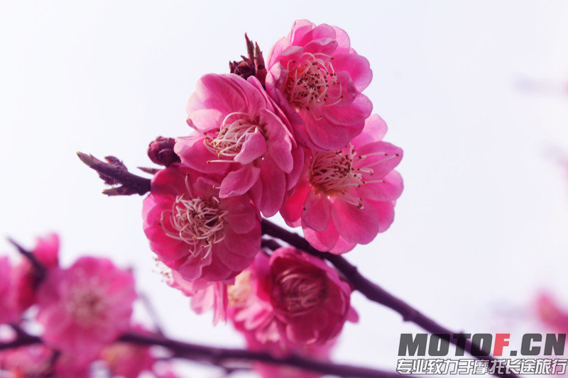 IMG_2882_副本.jpg
