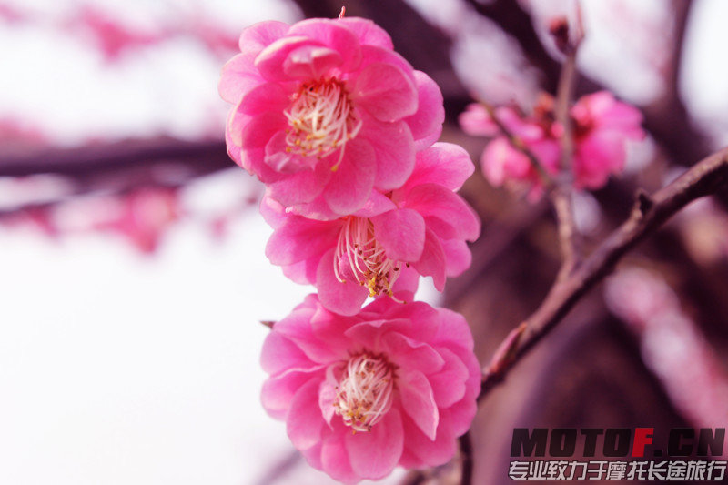 IMG_2883_副本.jpg