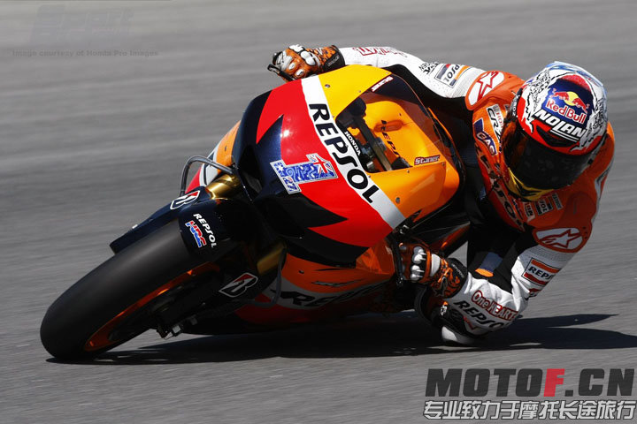 标志性澳大利亚花色