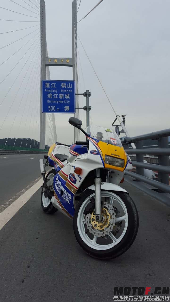 image.jpeg