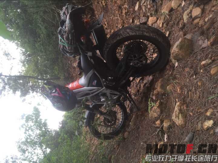 QQ图片20160409223015.jpg
