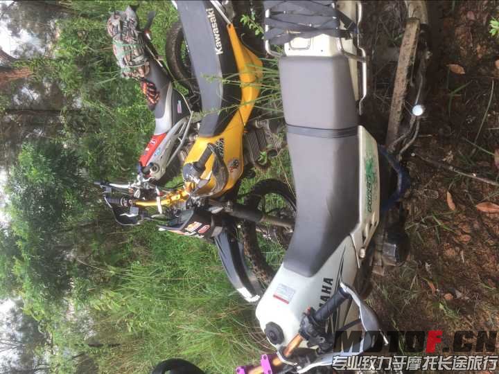 QQ图片20160409223133.jpg