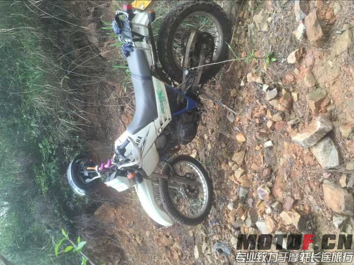 QQ图片20160409223215.jpg