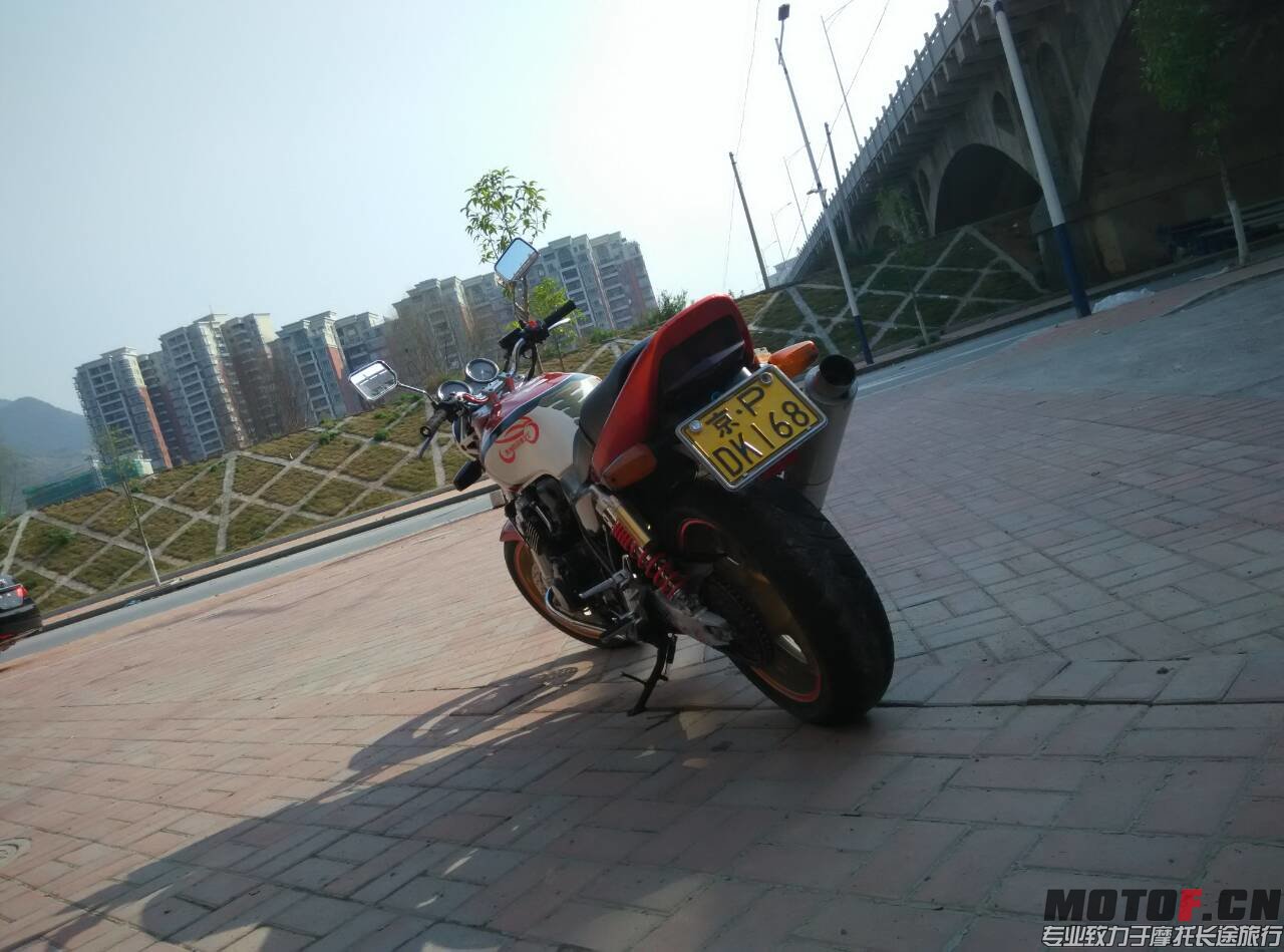 175634dlx250n5rox2n1t5.jpg