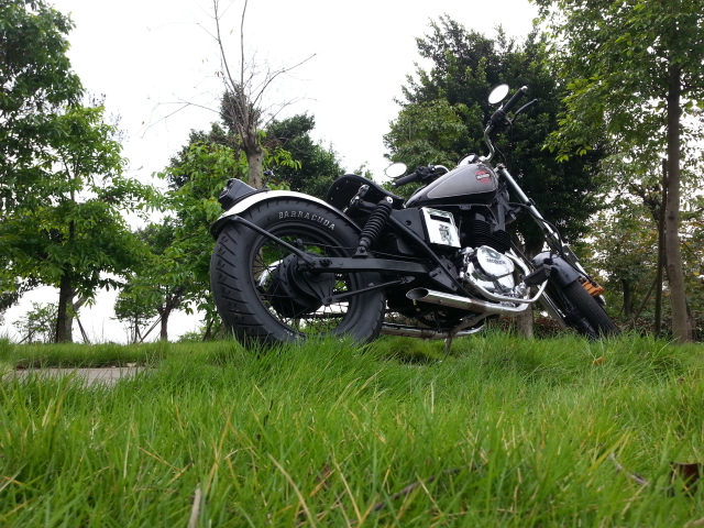 20160429_084745.jpg