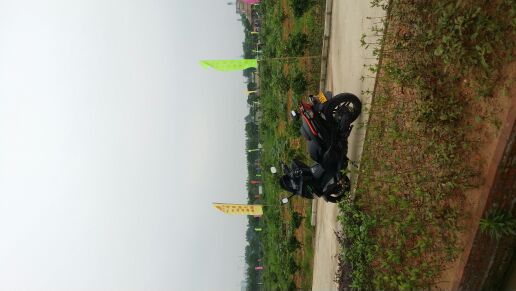 IMG_20160501_110053.jpg
