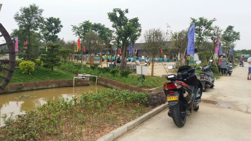 IMG_20160501_110104.jpg