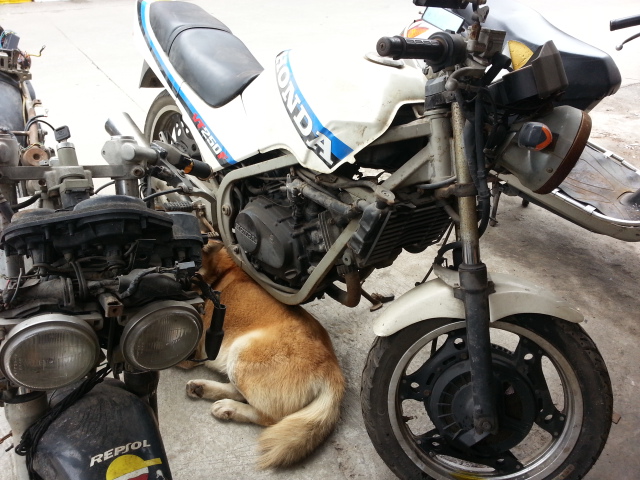 20160501_135617.jpg
