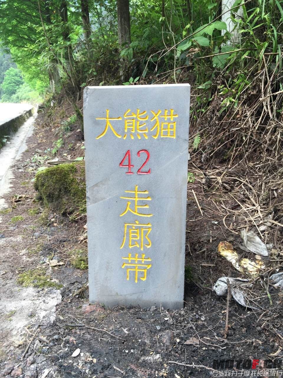 QQ图片20160505194347.jpg