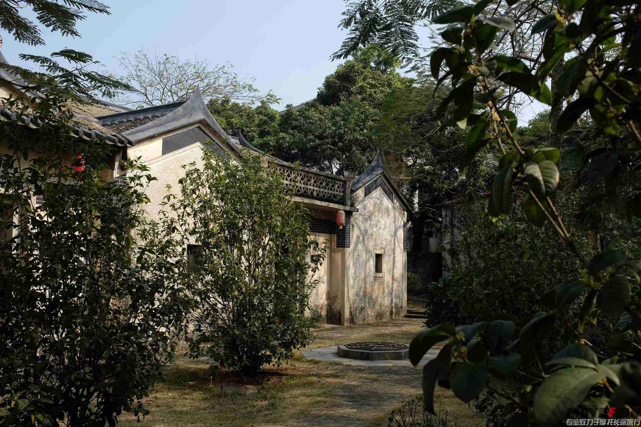DSCF5004.JPG