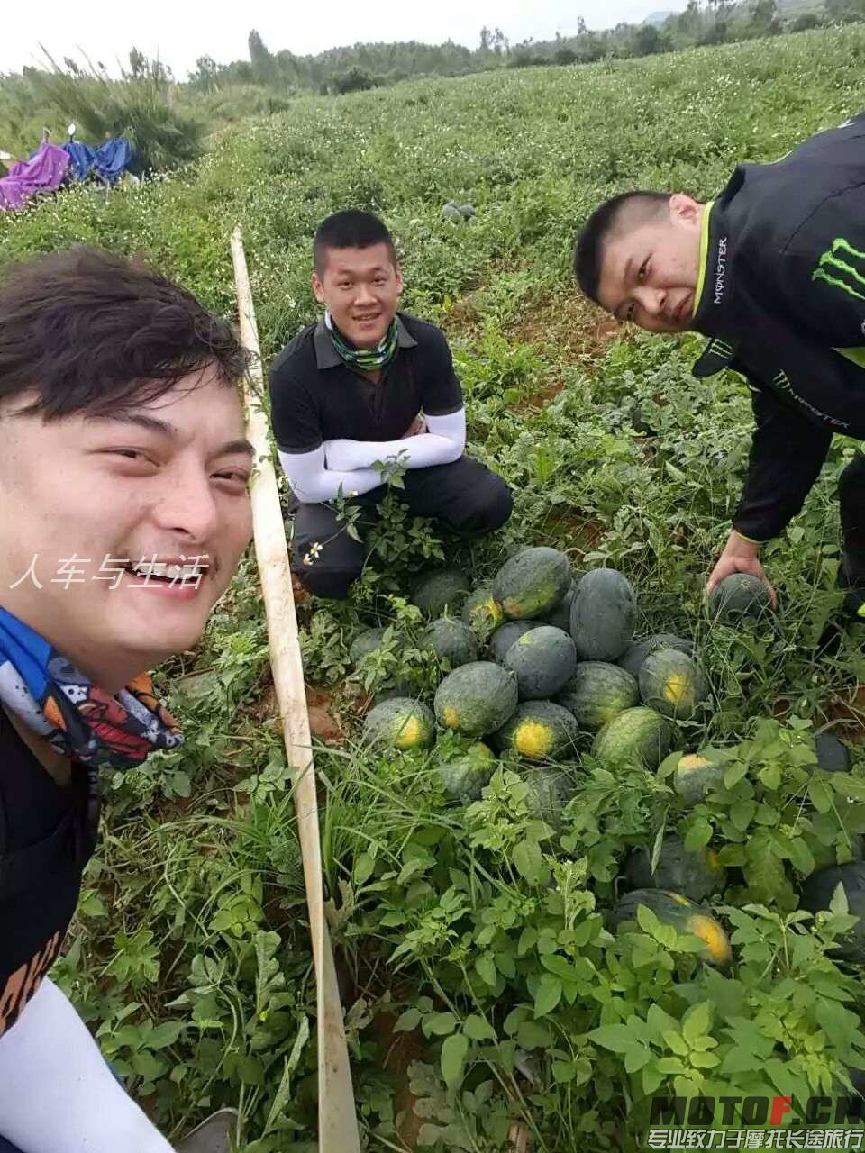 1060147335.jpg
