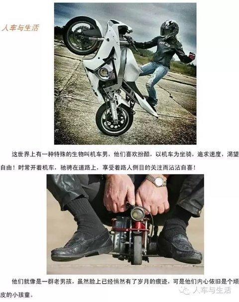 6401.webp.jpg