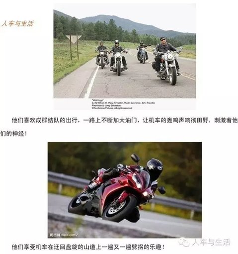 6403.webp.jpg