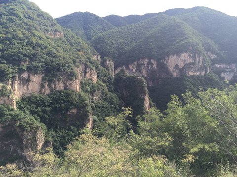 IMG_1880.jpg
