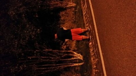 IMG_20160517_112116.jpg