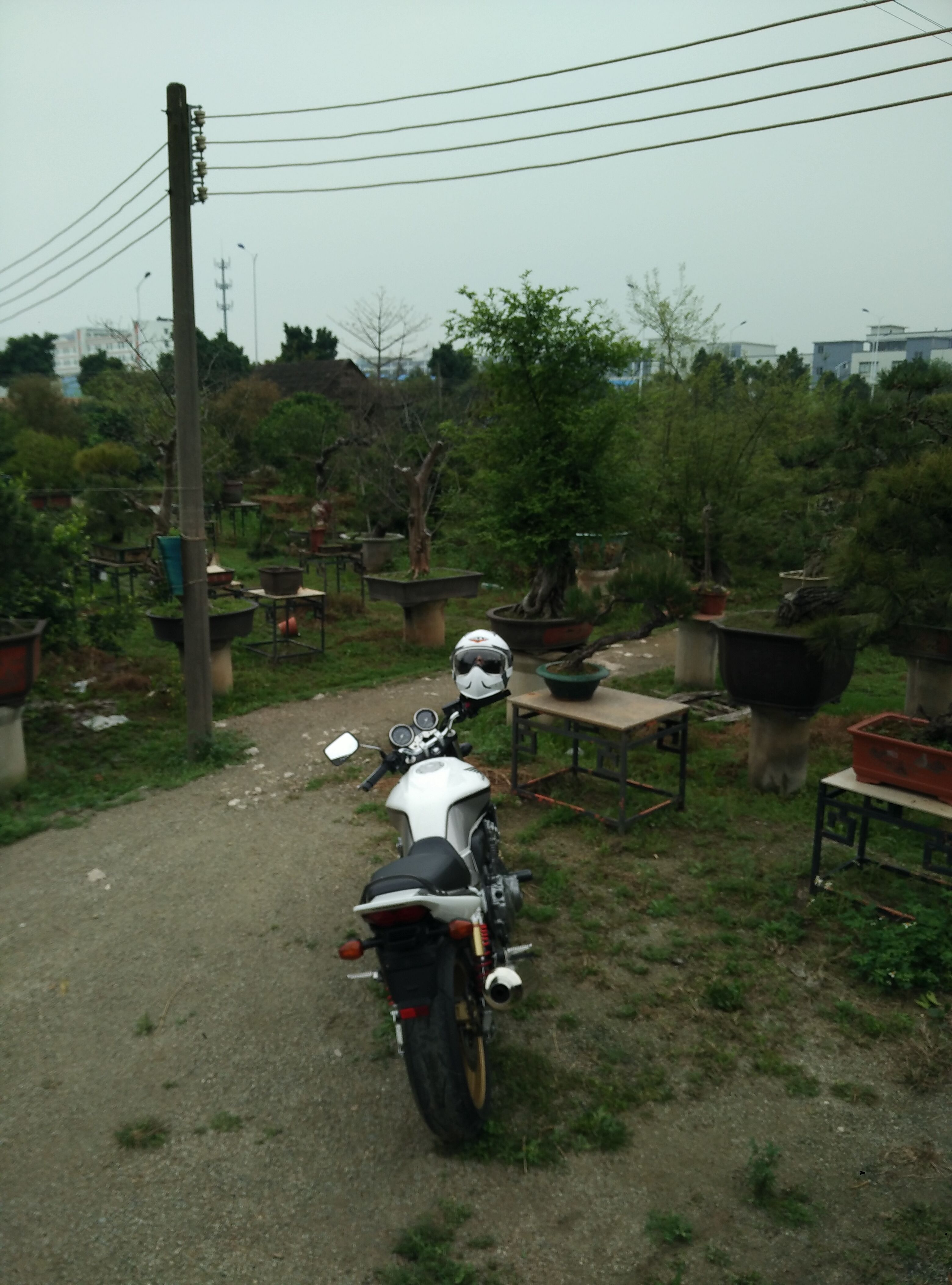 QQ图片20160520201931.jpg