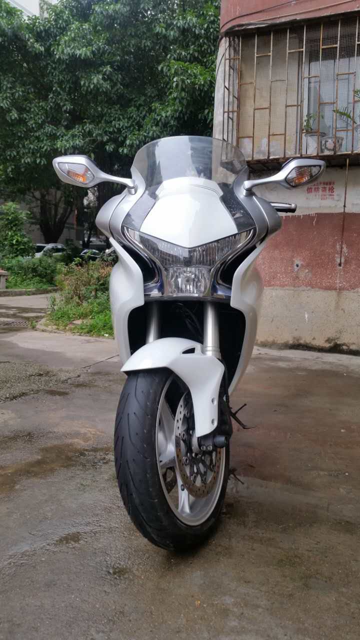 810740821.jpg