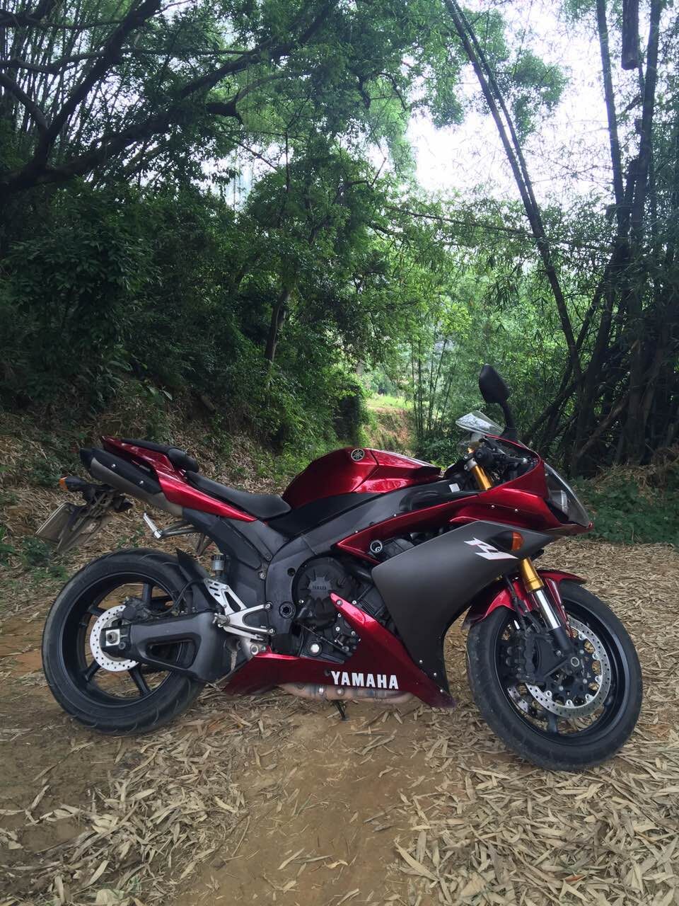 QQ图片20160601104853.jpg
