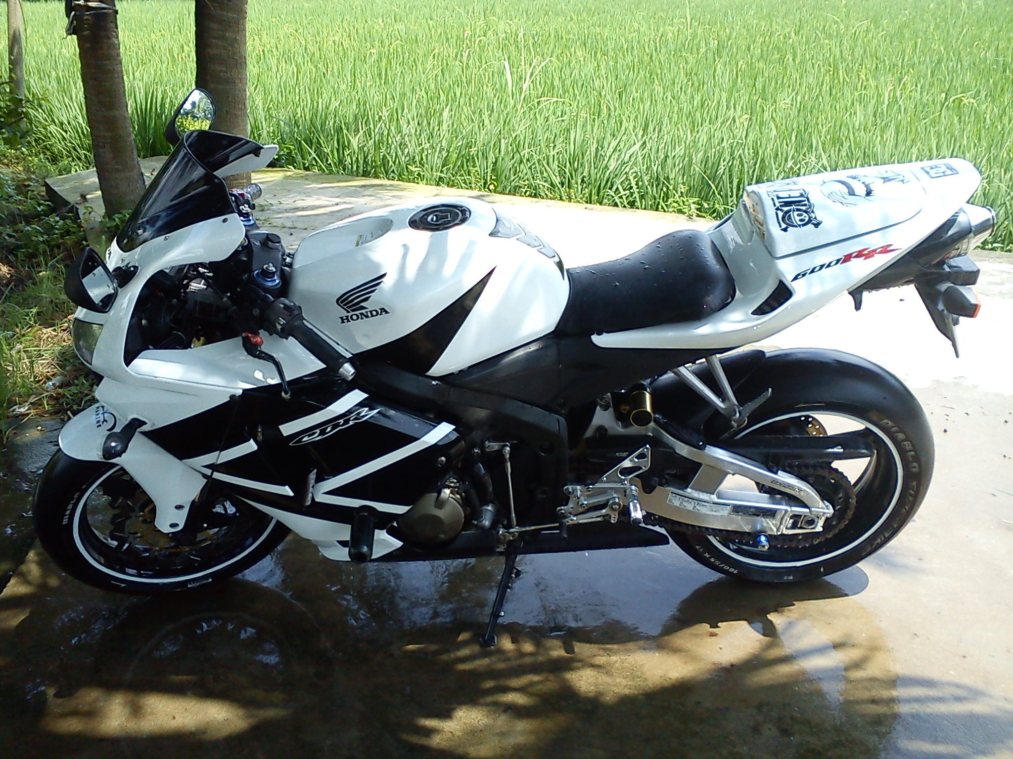 DSC01166_看图王.jpg