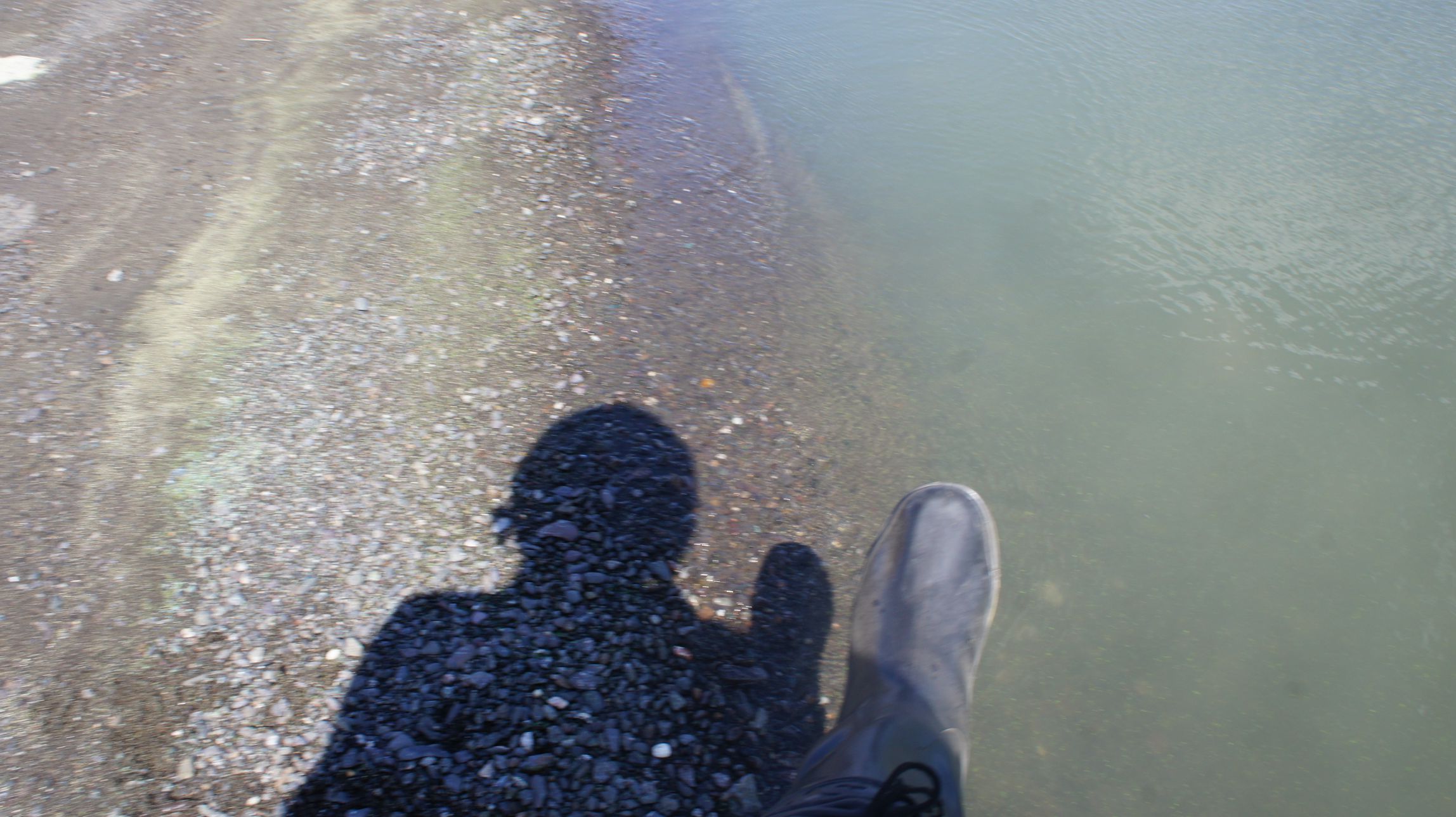DSC03958.jpg
