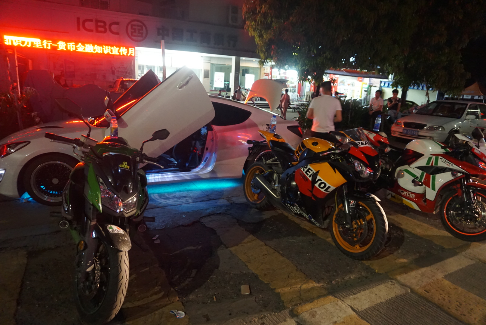 08鹦鹉IMG_7178.JPG