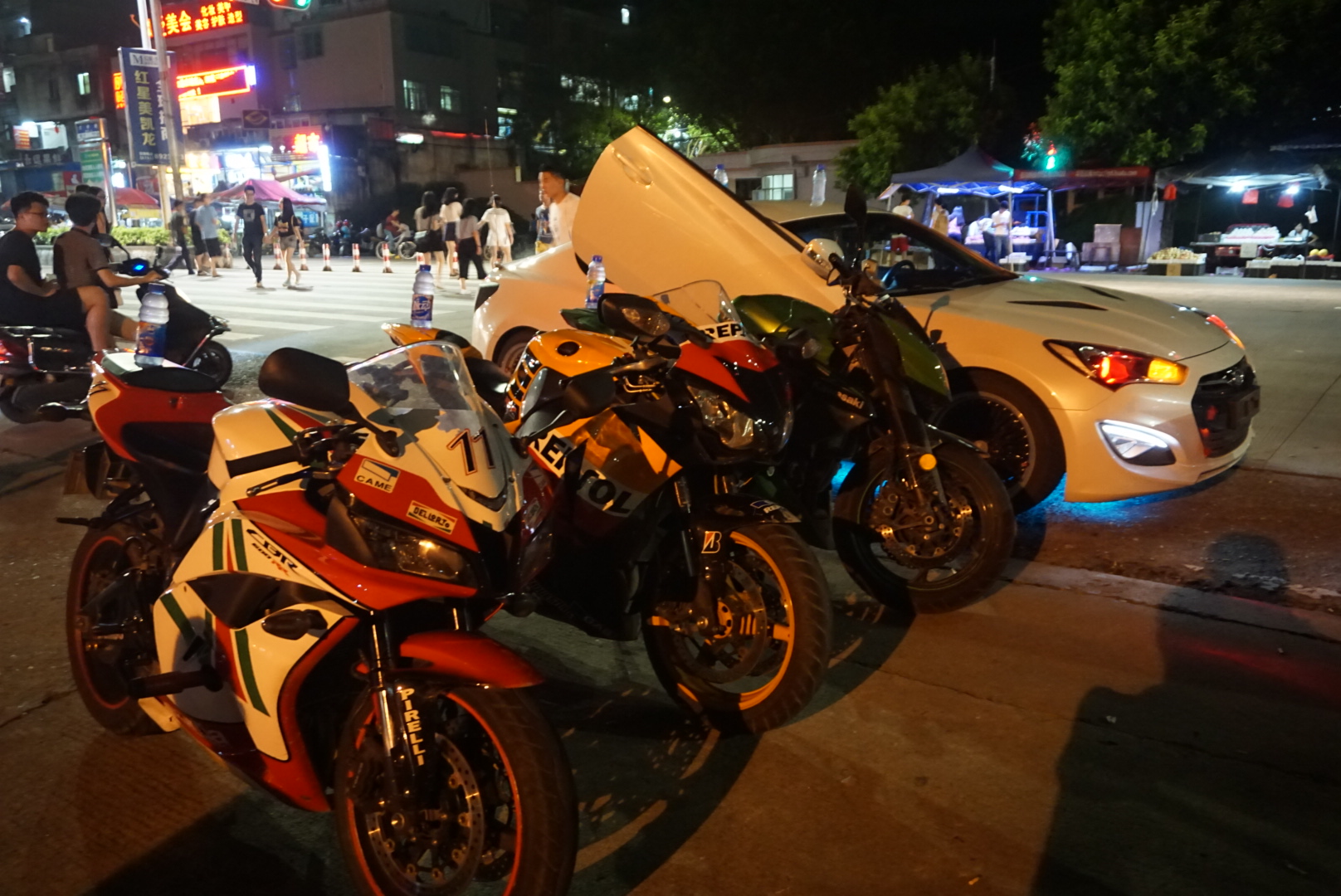 08鹦鹉IMG_7170.JPG