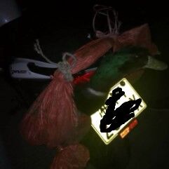 他们说这个鸭是路上捡到的