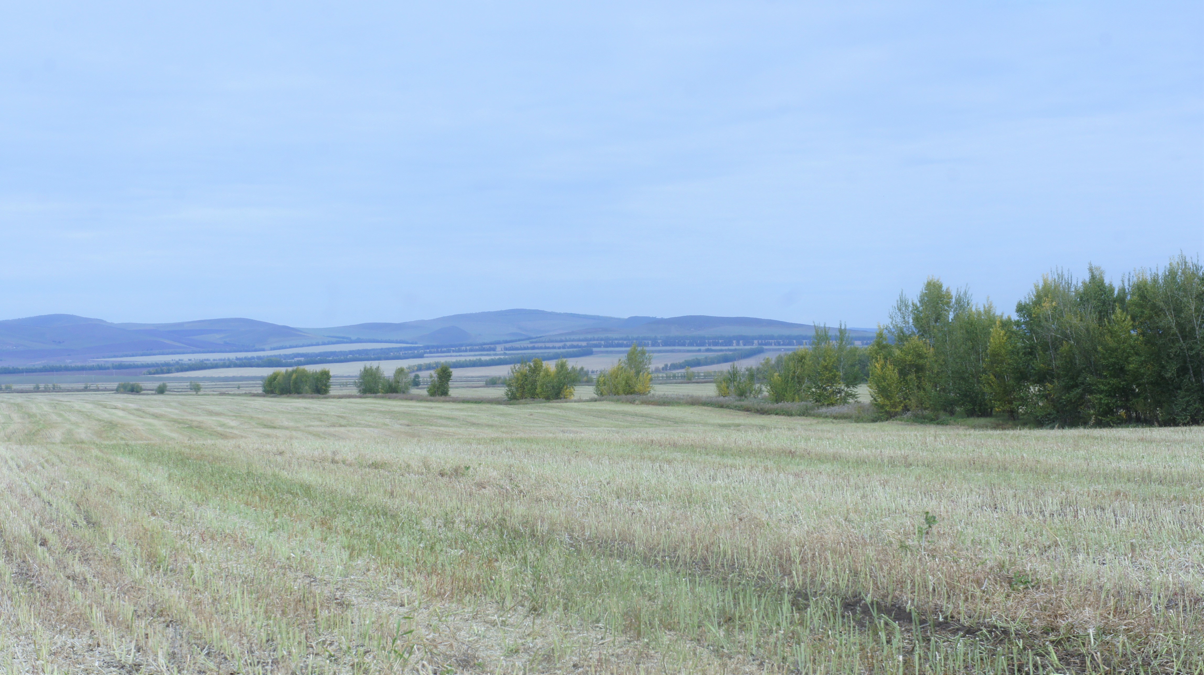 DSC04222.JPG