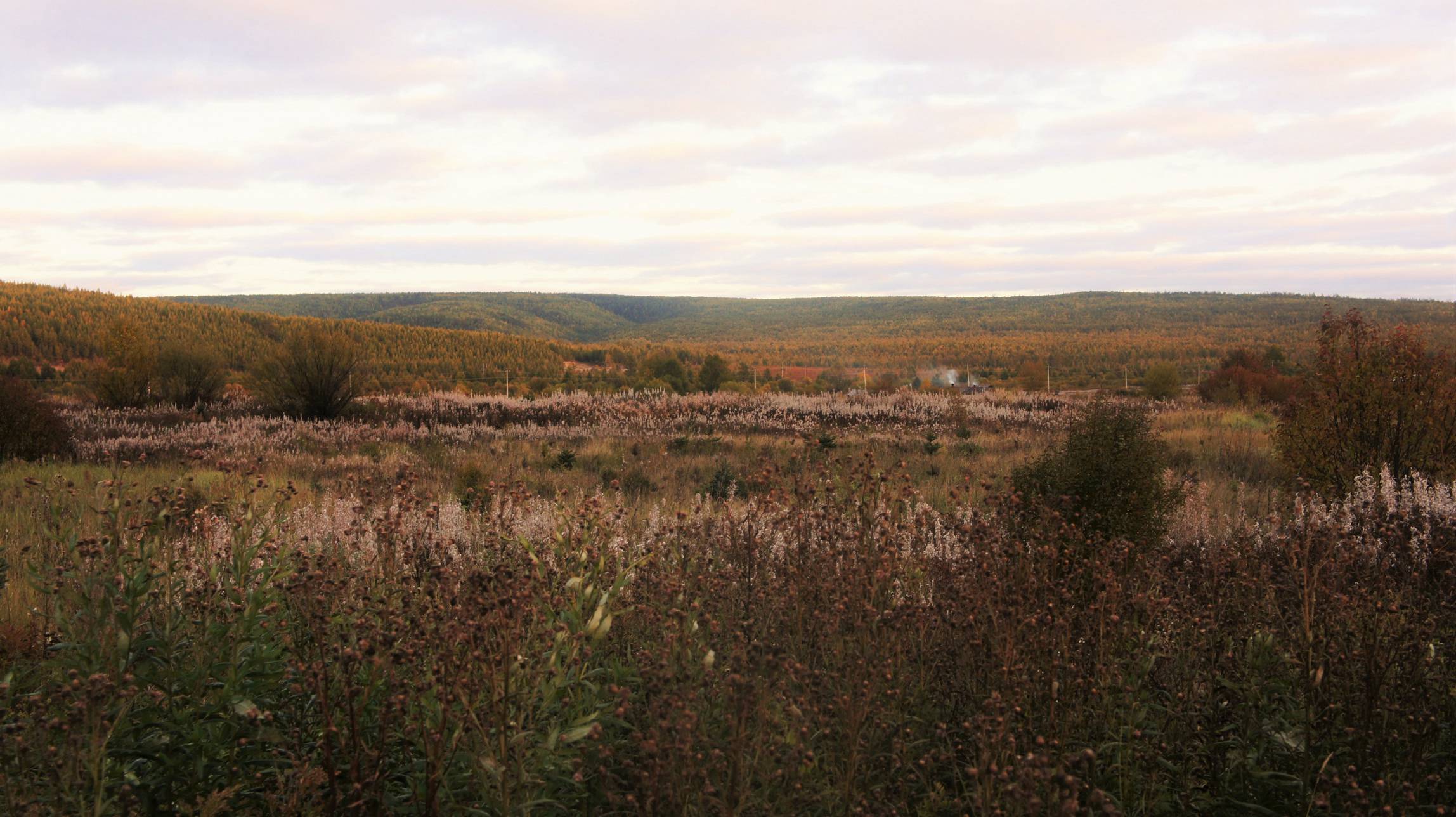DSC04373.jpg