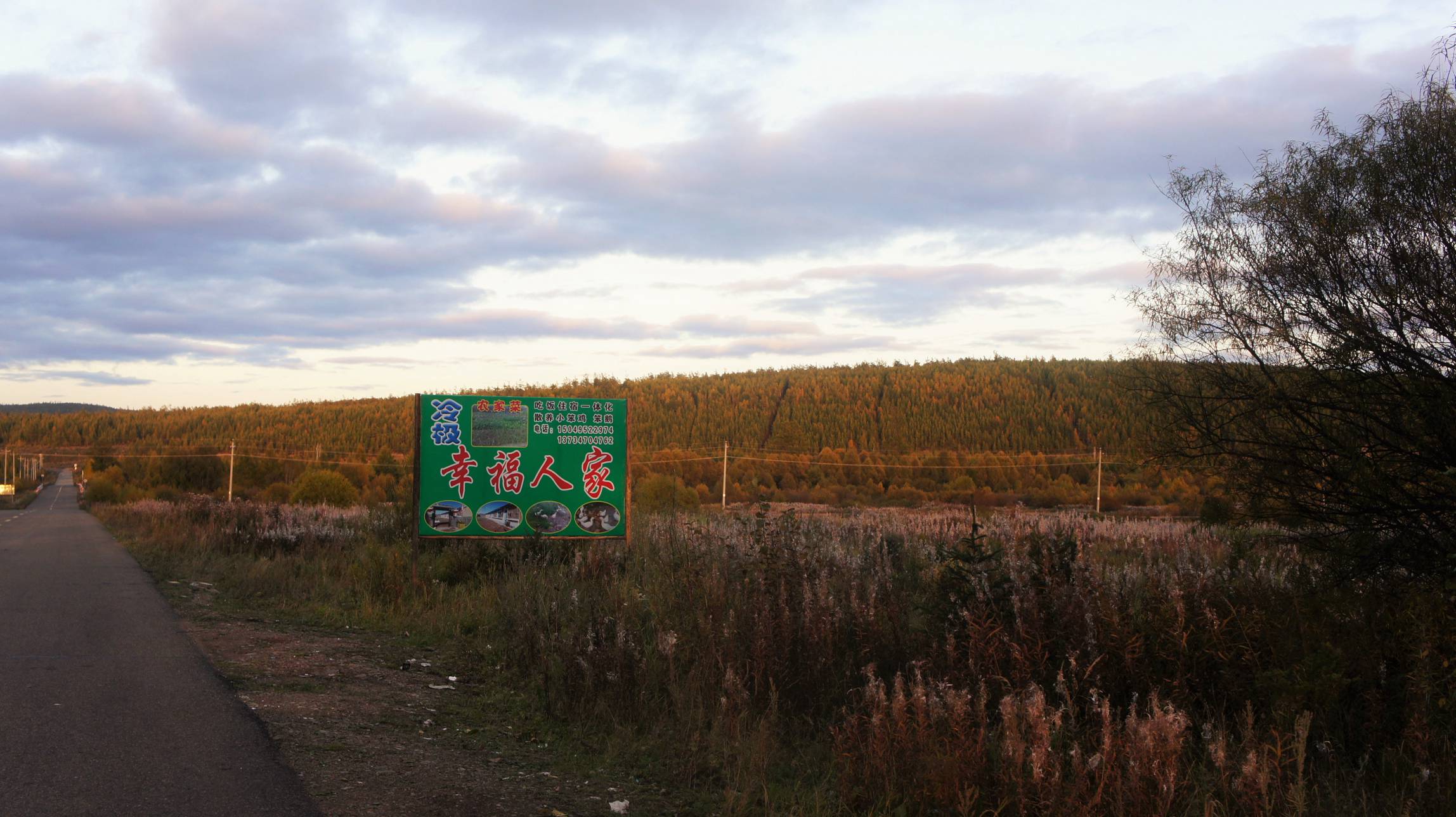 DSC04378.jpg