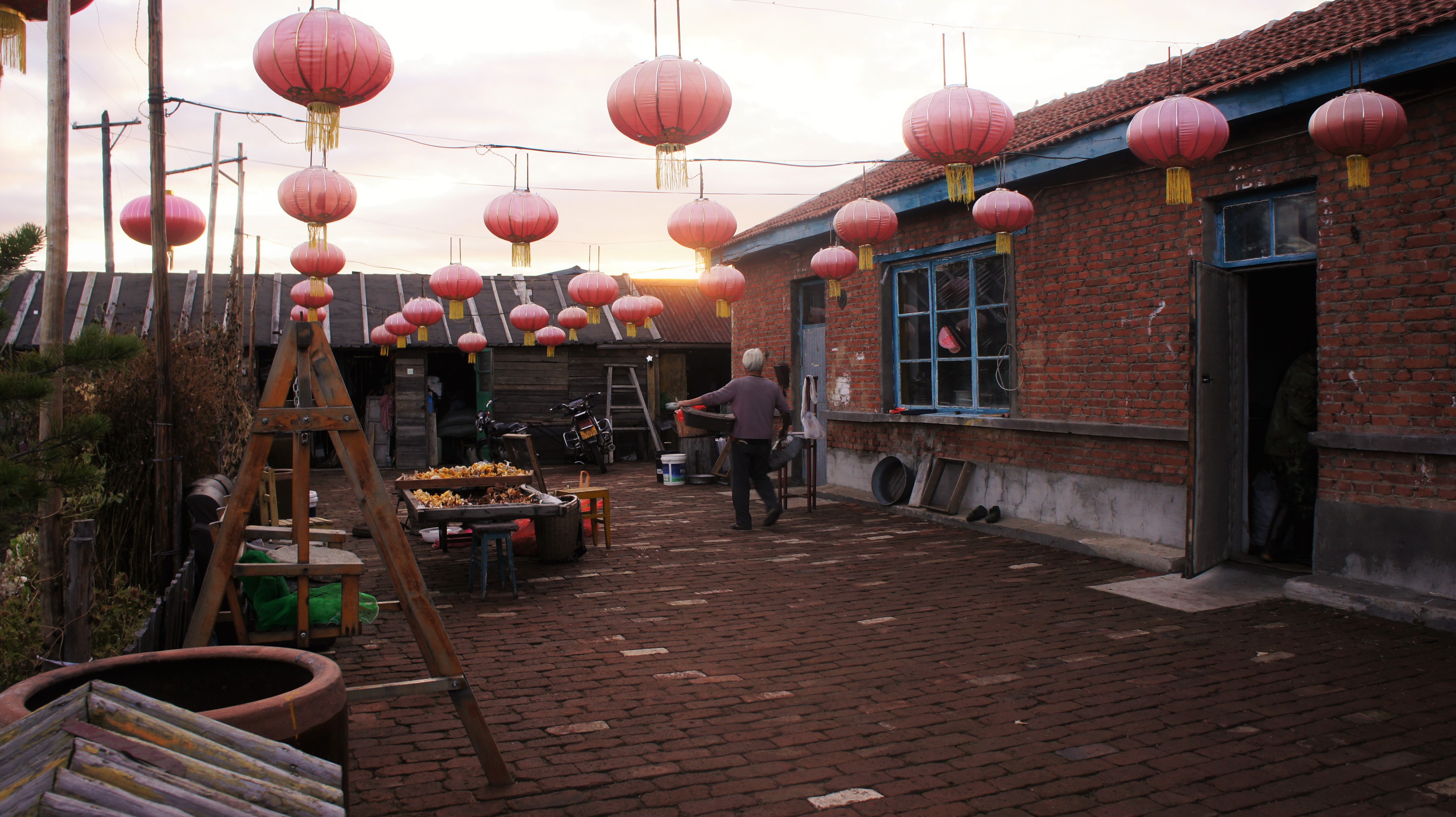DSC04391.JPG