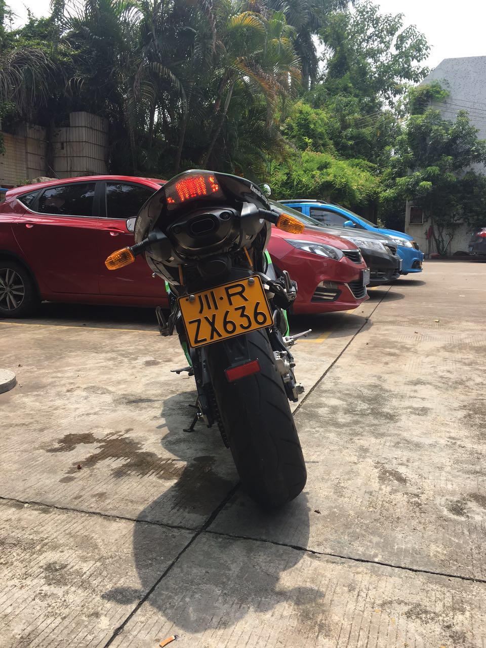 image.jpeg